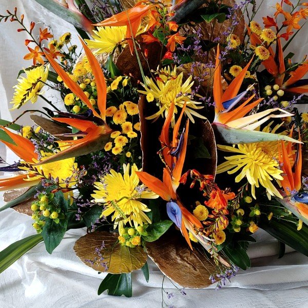 Main Product Image
